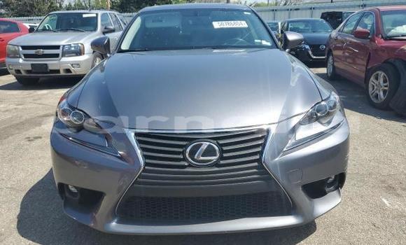 Buy New Lexus IS Silver Car in Badagry in Lagos State