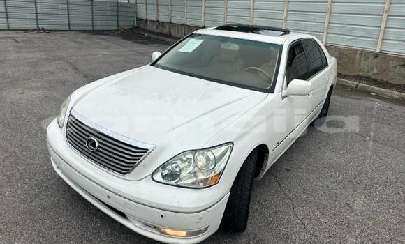 Buy New Lexus LS White Car in Badagry in Lagos State Buy New Lexus LS White Car in Badagry in Lagos State