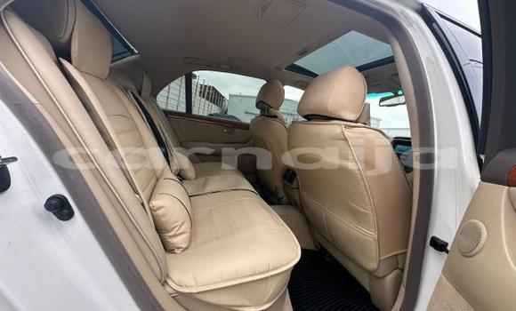 Buy New Lexus LS White Car in Badagry in Lagos State Buy New Lexus LS White Car in Badagry in Lagos State