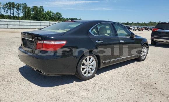 Buy New Lexus LS Black Car in Badagry in Lagos State Buy New Lexus LS Black Car in Badagry in Lagos State