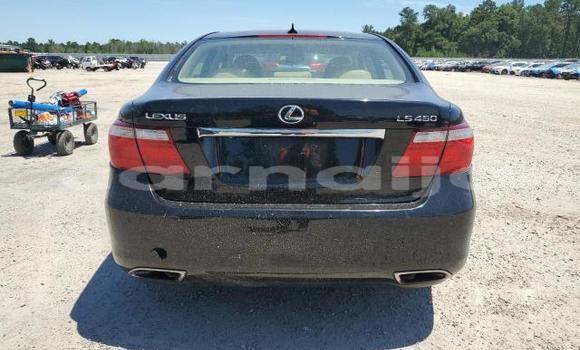 Buy New Lexus LS Black Car in Badagry in Lagos State Buy New Lexus LS Black Car in Badagry in Lagos State