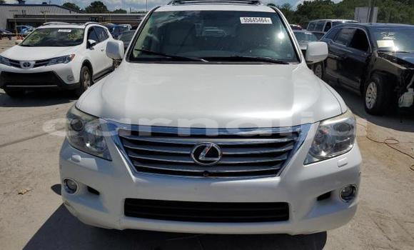 Buy New Lexus LX 570 White Car in Badagry in Lagos State Buy New Lexus LX 570 White Car in Badagry in Lagos State