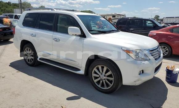 Buy New Lexus LX 570 White Car in Badagry in Lagos State Buy New Lexus LX 570 White Car in Badagry in Lagos State