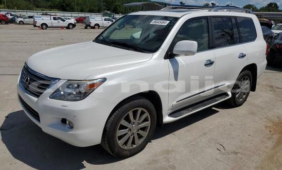 Buy New Lexus LX 570 White Car in Badagry in Lagos State Buy New Lexus LX 570 White Car in Badagry in Lagos State