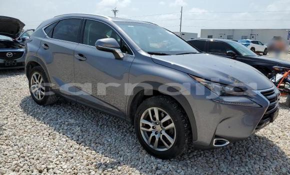 Acheter Neuf Voiture Lexus NX Autre à Badagry, État de Lagos Acheter Neuf Voiture Lexus NX Autre à Badagry, État de Lagos