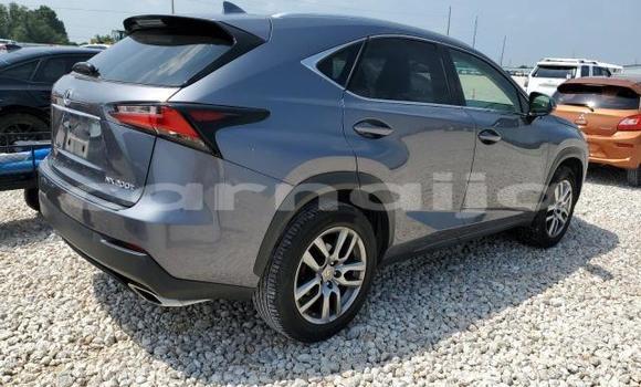Acheter Neuf Voiture Lexus NX Autre à Badagry, État de Lagos Acheter Neuf Voiture Lexus NX Autre à Badagry, État de Lagos