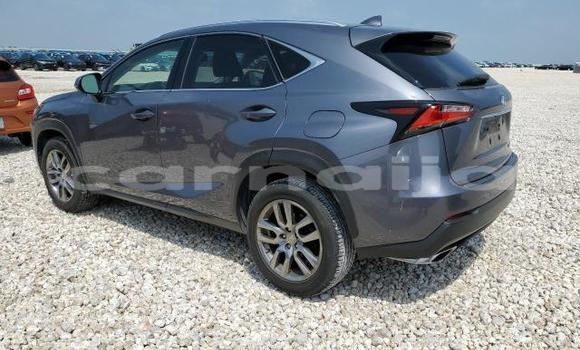Acheter Neuf Voiture Lexus NX Autre à Badagry, État de Lagos Acheter Neuf Voiture Lexus NX Autre à Badagry, État de Lagos