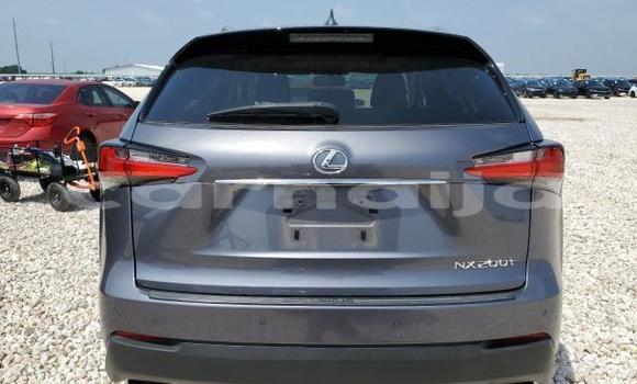 Acheter Neuf Voiture Lexus NX Autre à Badagry, État de Lagos Acheter Neuf Voiture Lexus NX Autre à Badagry, État de Lagos
