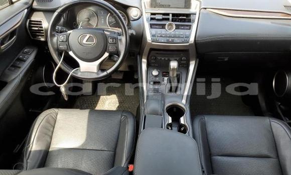 Acheter Neuf Voiture Lexus NX Autre à Badagry, État de Lagos Acheter Neuf Voiture Lexus NX Autre à Badagry, État de Lagos