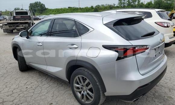 Acheter Neuf Voiture Lexus NX Gris à Badagry, État de Lagos Acheter Neuf Voiture Lexus NX Gris à Badagry, État de Lagos
