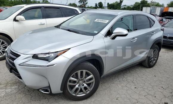 Acheter Neuf Voiture Lexus NX Gris à Badagry, État de Lagos Acheter Neuf Voiture Lexus NX Gris à Badagry, État de Lagos