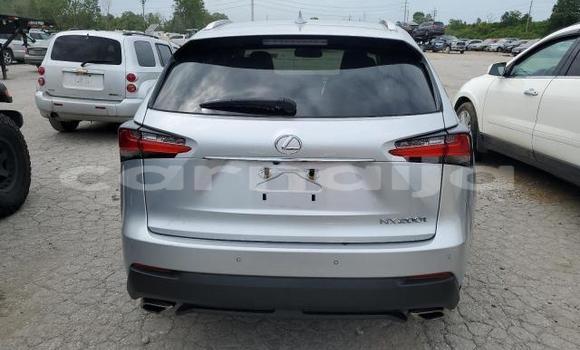 Acheter Neuf Voiture Lexus NX Gris à Badagry, État de Lagos Acheter Neuf Voiture Lexus NX Gris à Badagry, État de Lagos