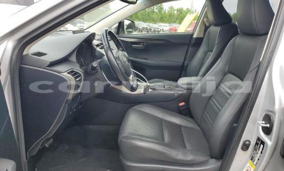 Acheter Neuf Voiture Lexus NX Gris à Badagry, État de Lagos Acheter Neuf Voiture Lexus NX Gris à Badagry, État de Lagos