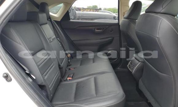 Acheter Neuf Voiture Lexus NX Gris à Badagry, État de Lagos Acheter Neuf Voiture Lexus NX Gris à Badagry, État de Lagos