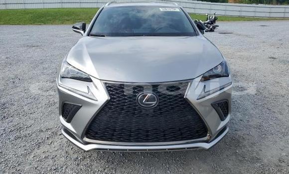 Acheter Neuf Voiture Lexus NX Gris à Badagry, État de Lagos