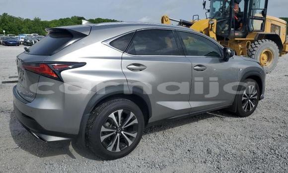 Acheter Neuf Voiture Lexus NX Gris à Badagry, État de Lagos Acheter Neuf Voiture Lexus NX Gris à Badagry, État de Lagos