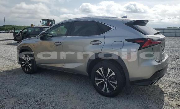 Acheter Neuf Voiture Lexus NX Gris à Badagry, État de Lagos Acheter Neuf Voiture Lexus NX Gris à Badagry, État de Lagos