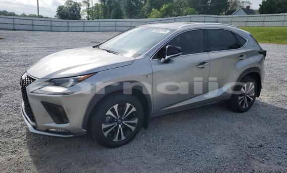 Acheter Neuf Voiture Lexus NX Gris à Badagry, État de Lagos Acheter Neuf Voiture Lexus NX Gris à Badagry, État de Lagos
