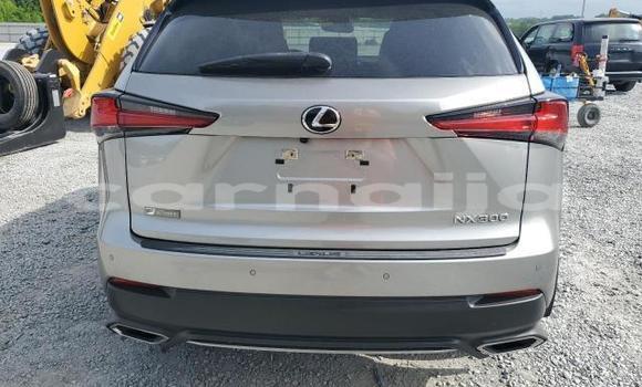 Acheter Neuf Voiture Lexus NX Gris à Badagry, État de Lagos Acheter Neuf Voiture Lexus NX Gris à Badagry, État de Lagos