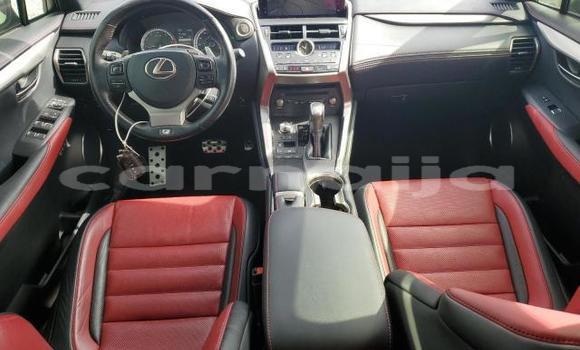 Acheter Neuf Voiture Lexus NX Gris à Badagry, État de Lagos Acheter Neuf Voiture Lexus NX Gris à Badagry, État de Lagos