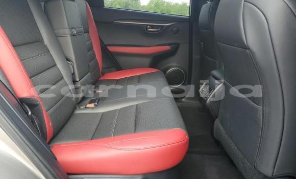 Acheter Neuf Voiture Lexus NX Gris à Badagry, État de Lagos Acheter Neuf Voiture Lexus NX Gris à Badagry, État de Lagos