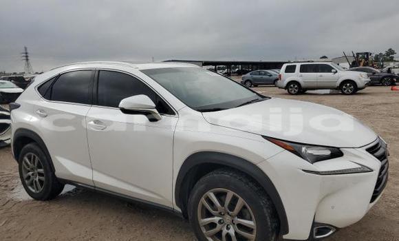 Buy New Lexus NX White Car in Badagry in Lagos State Buy New Lexus NX White Car in Badagry in Lagos State