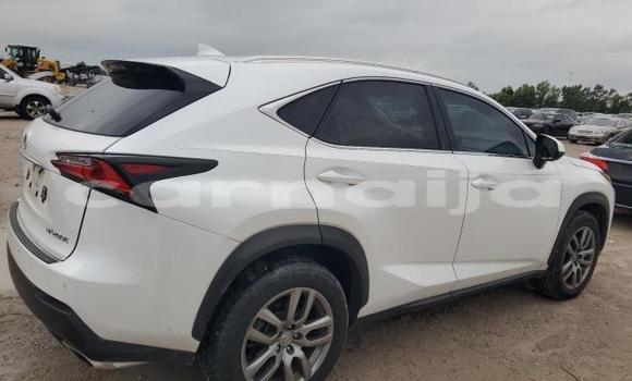 Buy New Lexus NX White Car in Badagry in Lagos State Buy New Lexus NX White Car in Badagry in Lagos State