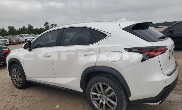Buy New Lexus NX White Car in Badagry in Lagos State Buy New Lexus NX White Car in Badagry in Lagos State