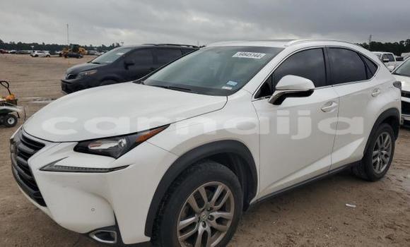 Buy New Lexus NX White Car in Badagry in Lagos State Buy New Lexus NX White Car in Badagry in Lagos State