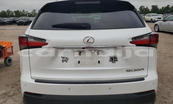 Buy New Lexus NX White Car in Badagry in Lagos State Buy New Lexus NX White Car in Badagry in Lagos State