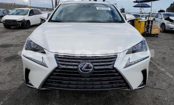 Buy New Lexus NX White Car in Badagry in Lagos State
