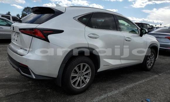 Acheter Neuf Voiture Lexus NX Blanc à Badagry, État de Lagos Acheter Neuf Voiture Lexus NX Blanc à Badagry, État de Lagos