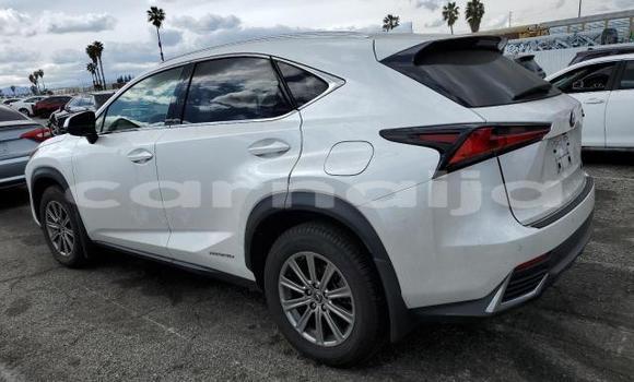 Acheter Neuf Voiture Lexus NX Blanc à Badagry, État de Lagos Acheter Neuf Voiture Lexus NX Blanc à Badagry, État de Lagos