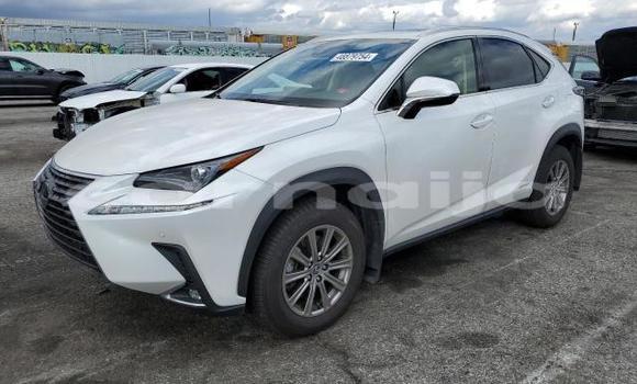 Acheter Neuf Voiture Lexus NX Blanc à Badagry, État de Lagos Acheter Neuf Voiture Lexus NX Blanc à Badagry, État de Lagos