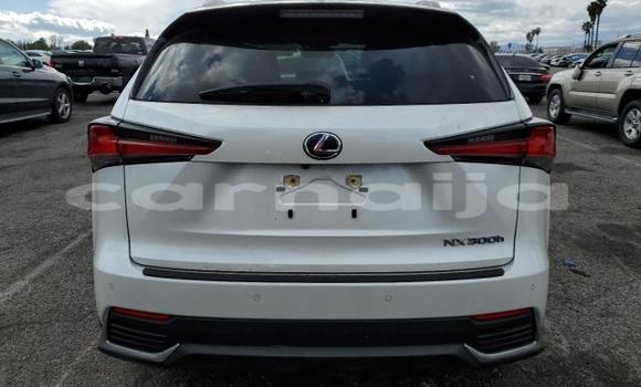 Acheter Neuf Voiture Lexus NX Blanc à Badagry, État de Lagos Acheter Neuf Voiture Lexus NX Blanc à Badagry, État de Lagos