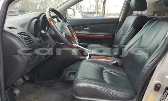 Buy New Lexus RX Silver Car in Badagry in Lagos State Buy New Lexus RX Silver Car in Badagry in Lagos State