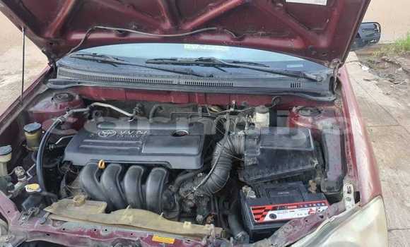 Acheter Occasion Voiture Toyota Corolla Autre à Abak, État d'Akwa Ibom Acheter Occasion Voiture Toyota Corolla Autre à Abak, État d'Akwa Ibom