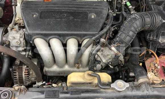 Acheter Occasion Voiture Honda Accord Rouge à Abuja, État de Lagos Acheter Occasion Voiture Honda Accord Rouge à Abuja, État de Lagos