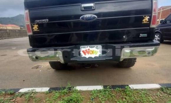 Buy Used Ford F–150 Other Car in Lagos in Lagos State