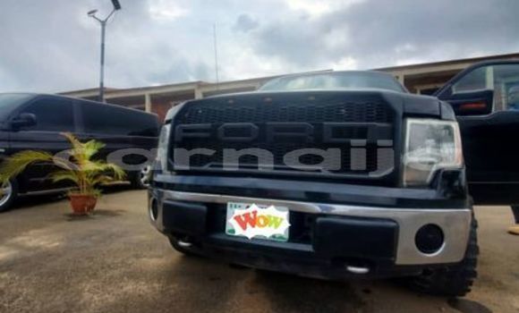 Acheter Occasion Voiture Ford F–150 Autre à Lagos, État de Lagos Acheter Occasion Voiture Ford F–150 Autre à Lagos, État de Lagos