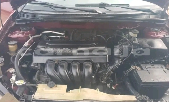 Buy Used Toyota Corolla Red Car in Abakaliki in Ebonyi State