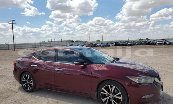 Buy New Nissan Maxima Other Car in Badagry in Lagos State Buy New Nissan Maxima Other Car in Badagry in Lagos State