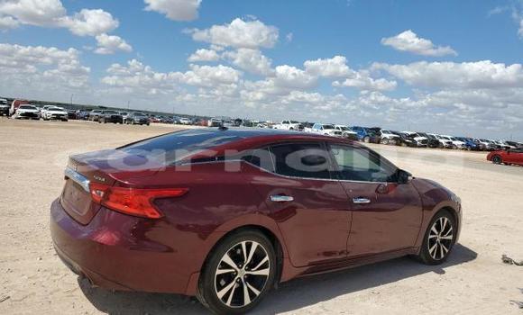 Buy New Nissan Maxima Other Car in Badagry in Lagos State Buy New Nissan Maxima Other Car in Badagry in Lagos State