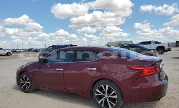 Buy New Nissan Maxima Other Car in Badagry in Lagos State Buy New Nissan Maxima Other Car in Badagry in Lagos State