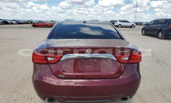 Buy New Nissan Maxima Other Car in Badagry in Lagos State Buy New Nissan Maxima Other Car in Badagry in Lagos State