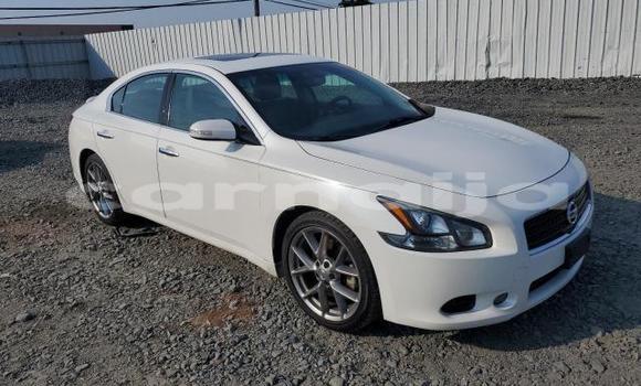 Buy New Nissan Maxima White Car in Badagry in Lagos State Buy New Nissan Maxima White Car in Badagry in Lagos State