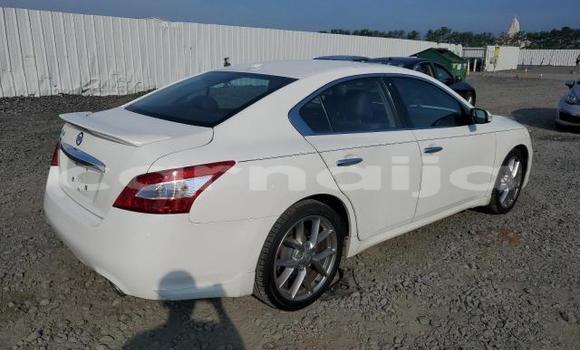Buy New Nissan Maxima White Car in Badagry in Lagos State Buy New Nissan Maxima White Car in Badagry in Lagos State