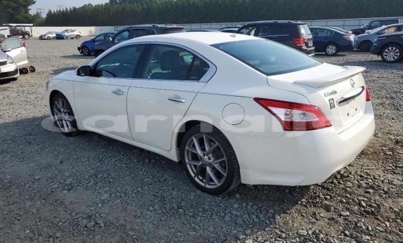 Buy New Nissan Maxima White Car in Badagry in Lagos State Buy New Nissan Maxima White Car in Badagry in Lagos State