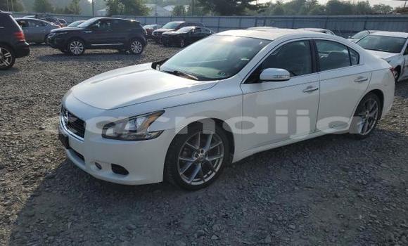 Buy New Nissan Maxima White Car in Badagry in Lagos State Buy New Nissan Maxima White Car in Badagry in Lagos State