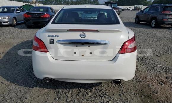 Buy New Nissan Maxima White Car in Badagry in Lagos State Buy New Nissan Maxima White Car in Badagry in Lagos State